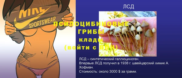 экстази Горняк