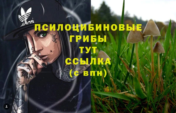 таблы Горно-Алтайск