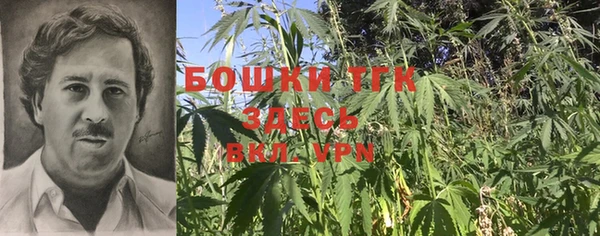 экстази Горняк