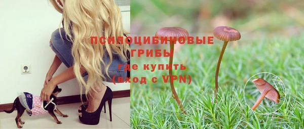экстази Горняк